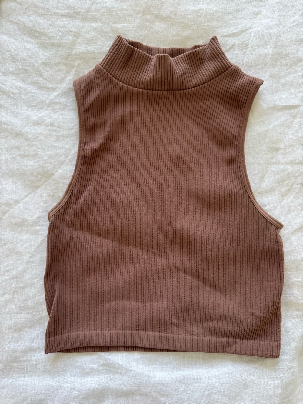 Zara Ribbed Sleeveless Mock Neck Crop Top